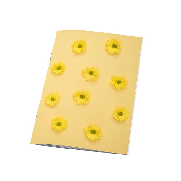 small chrysanthemum notebook